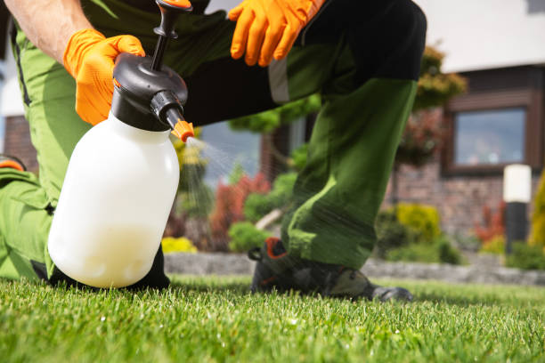 Pest Control for Restaurants in Hanford, CA