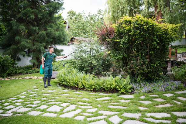 Best Pest Control Near Me  in Hanford, CA