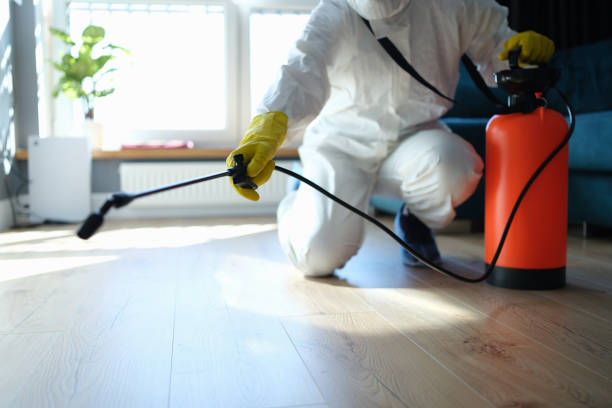 Professional Pest Control in Hanford, CA
