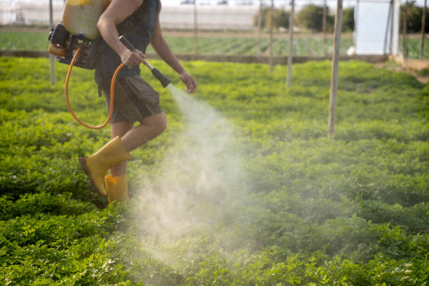 Best Residential Pest Control  in Hanford, CA