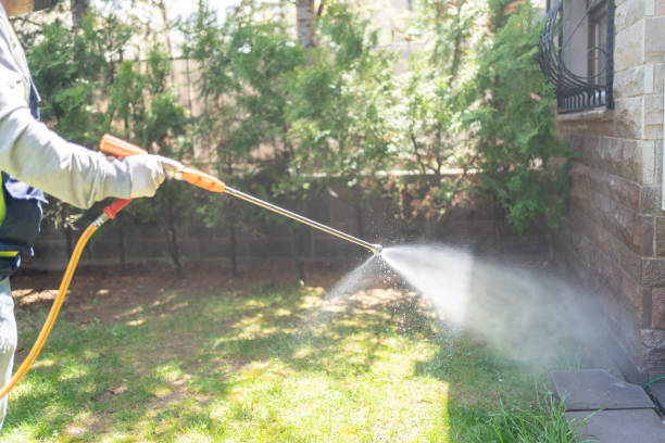 Best Rodent Control Near Me  in Hanford, CA