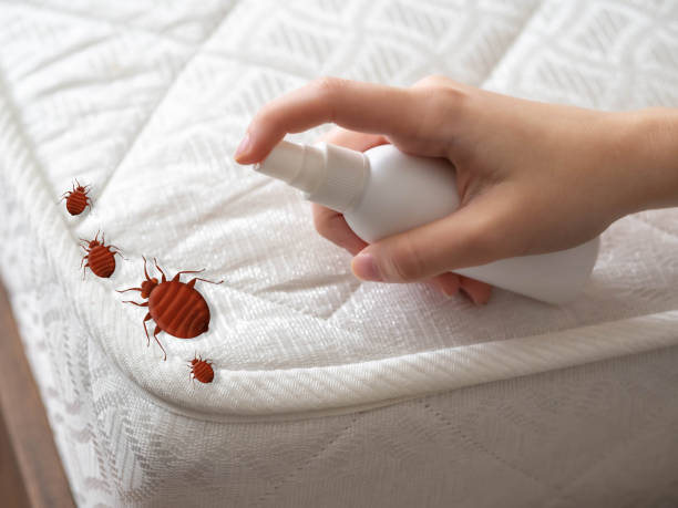 Best Pest Inspection Near Me  in Hanford, CA