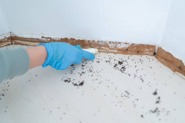 Best Commercial Pest Control Services  in Hanford, CA