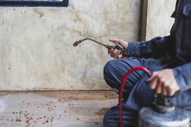 Best Pest Removal Services  in Hanford, CA